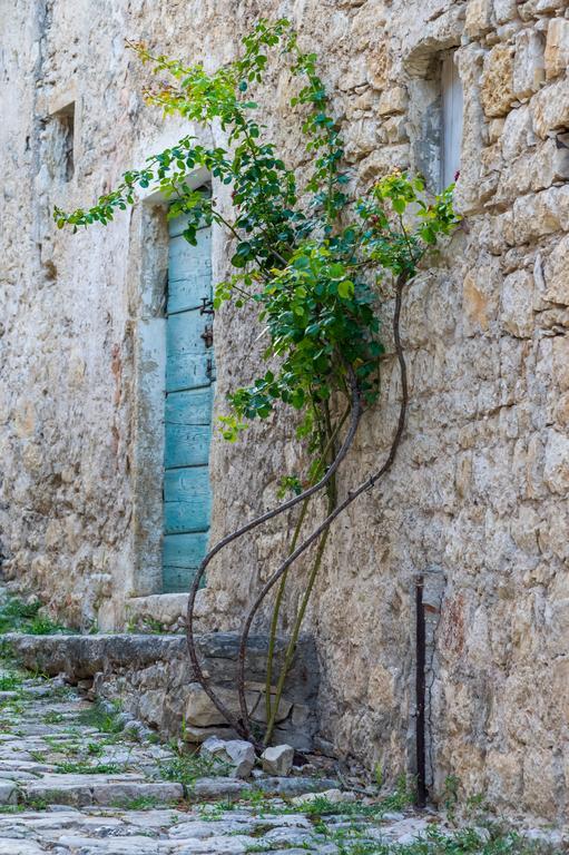 Aparthotel Castrum Novum Novigrad (Istria) Exterior foto